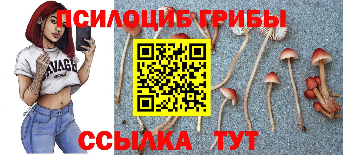 сколько стоит  Галлюциногенные грибы MAGIC MUSHROOMS  Партизанск  Вход с VPN  Псилоцибиновые грибы Cubensis 
