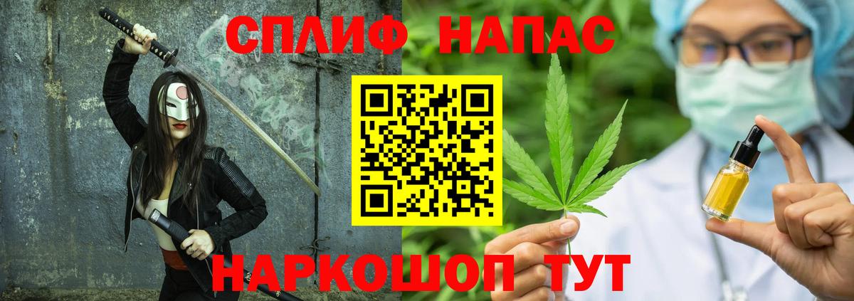 Партизанск  Каннабис индика  Конопля сатива  Марихуана план  Вход с VPN 