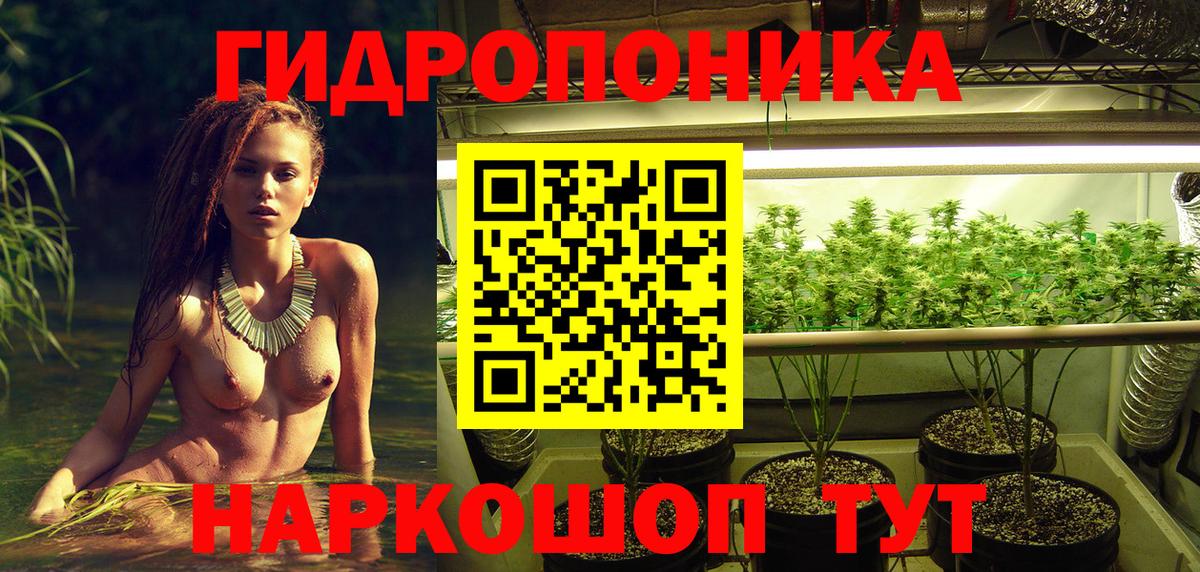 Бошки Шишки THC 21% Партизанск